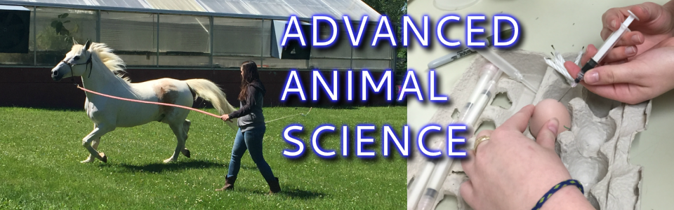 Advanced Animal Science - Spring 2019 - Verona Agriculture